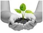 plante